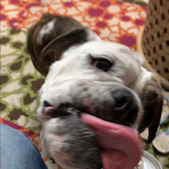 Meet your Posher - Picture 1 of 1